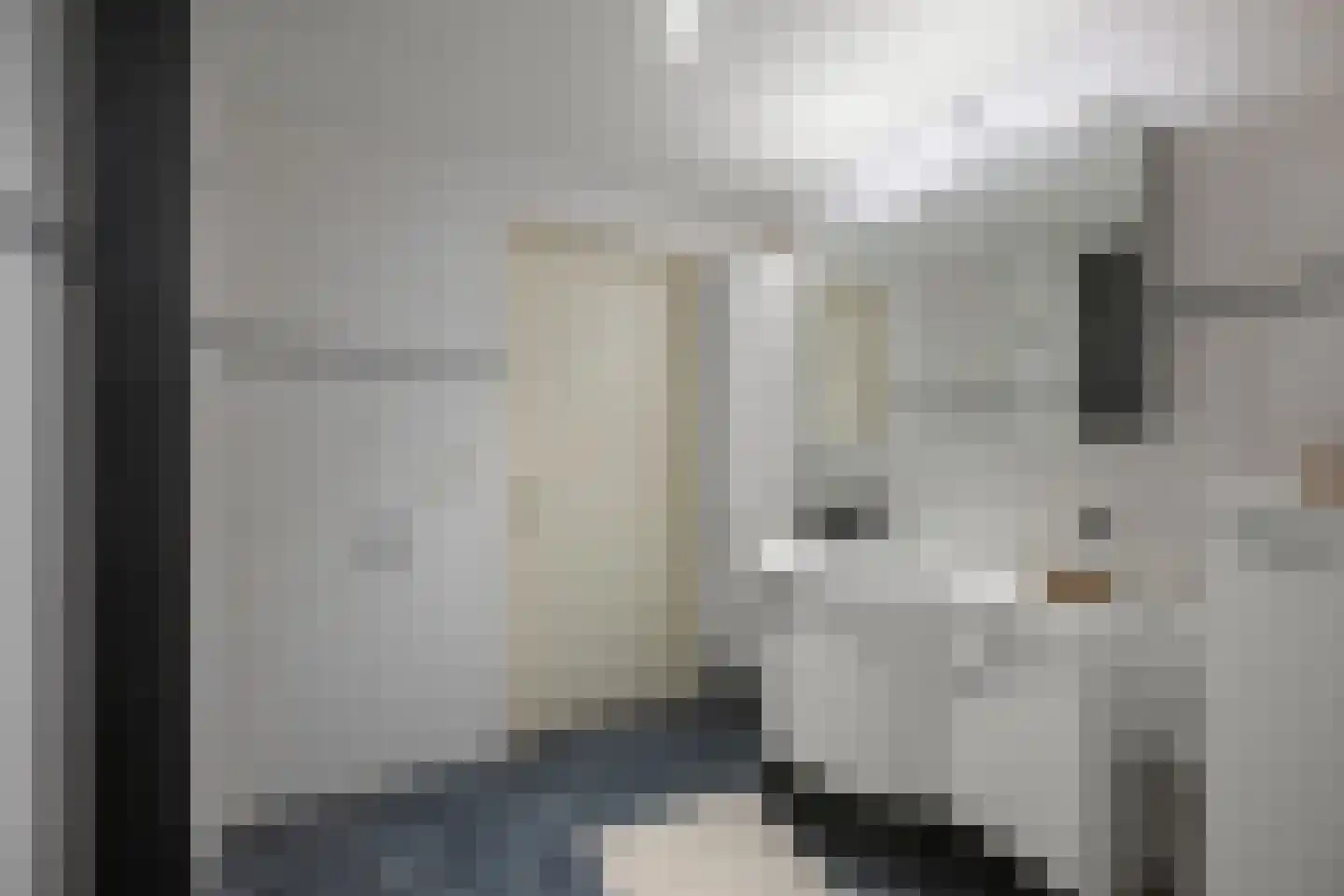 Delftlaan 29 E Assendelft thumbnail 29