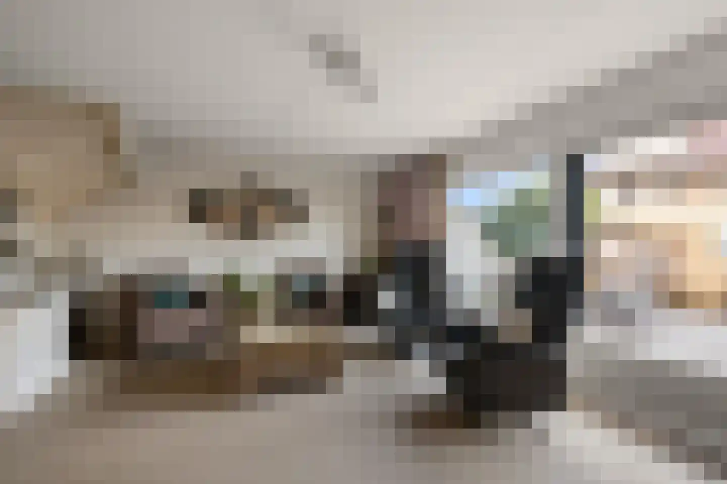 Delftlaan 29 E Assendelft foto 3