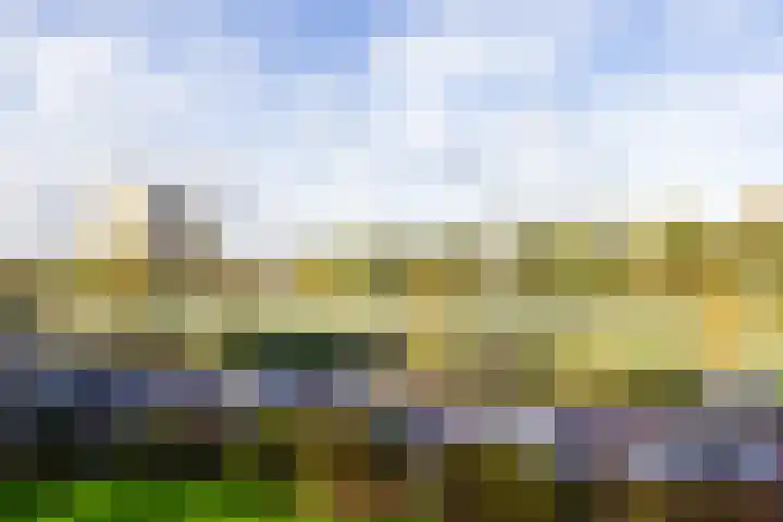 Delftlaan 299 II Haarlem thumbnail 8