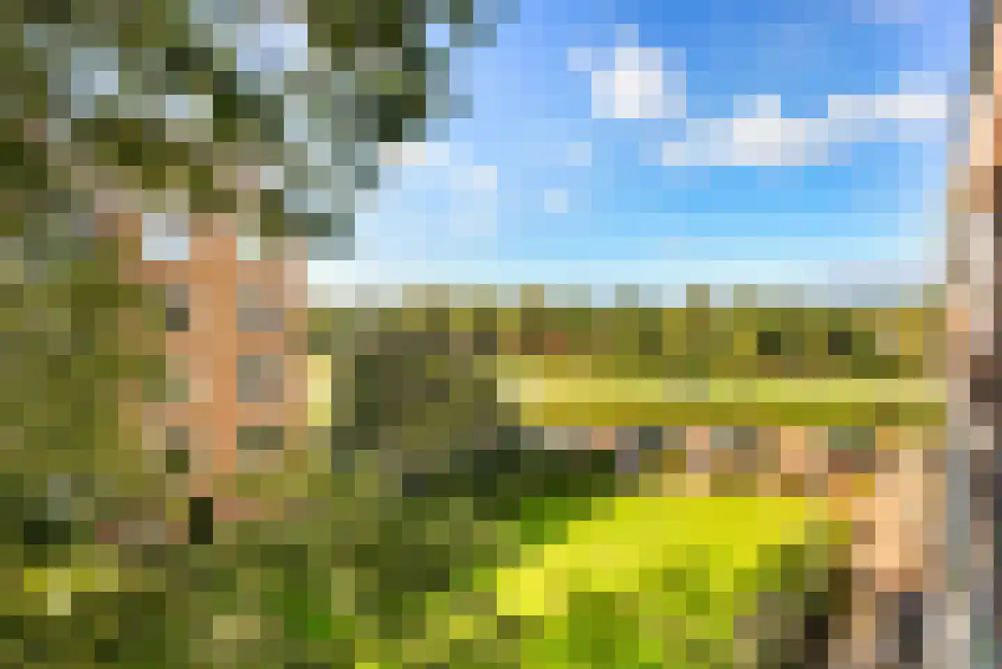 Delftlaan 305 III Haarlem thumbnail 5