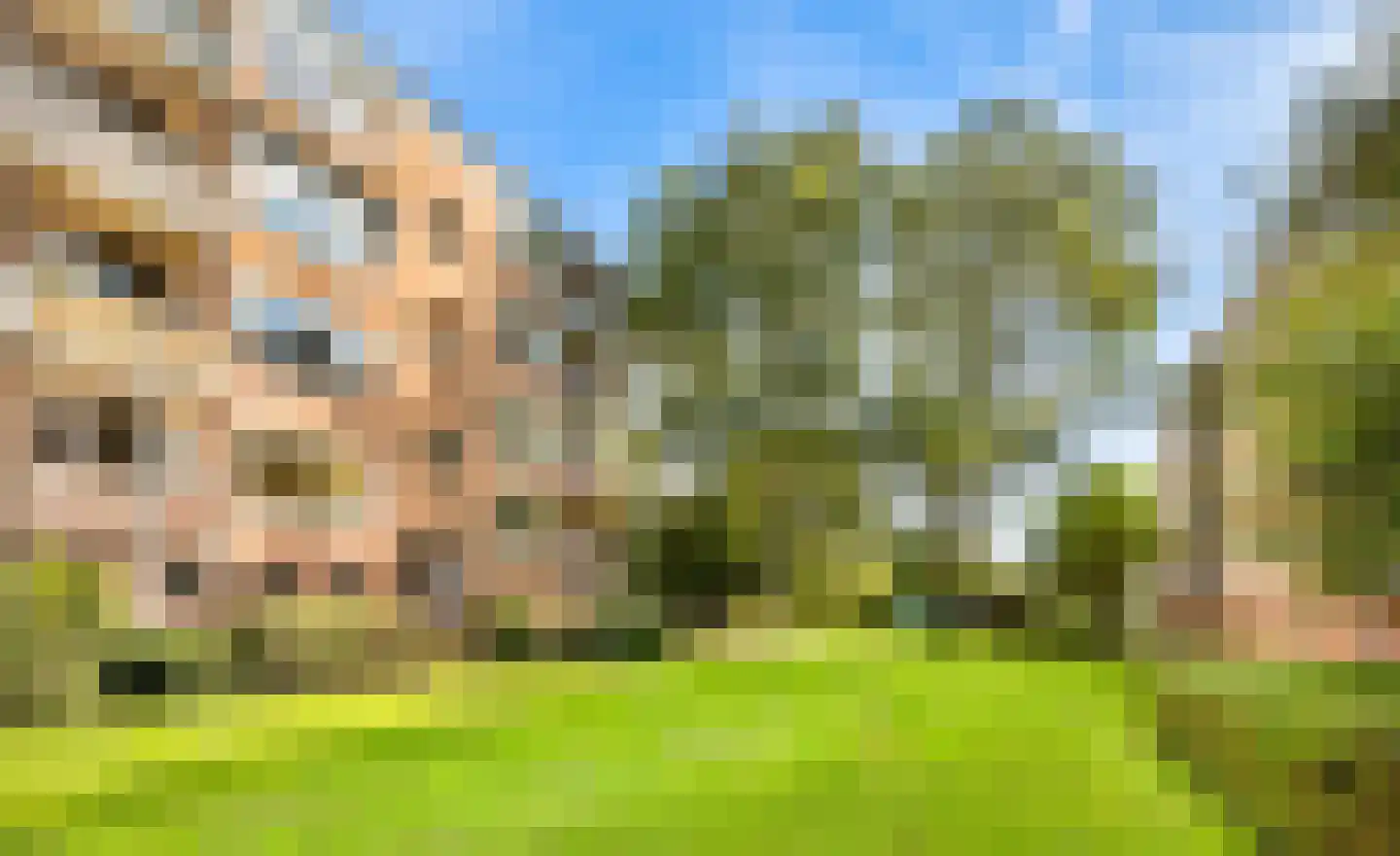 Delftlaan 305 III Haarlem thumbnail 8
