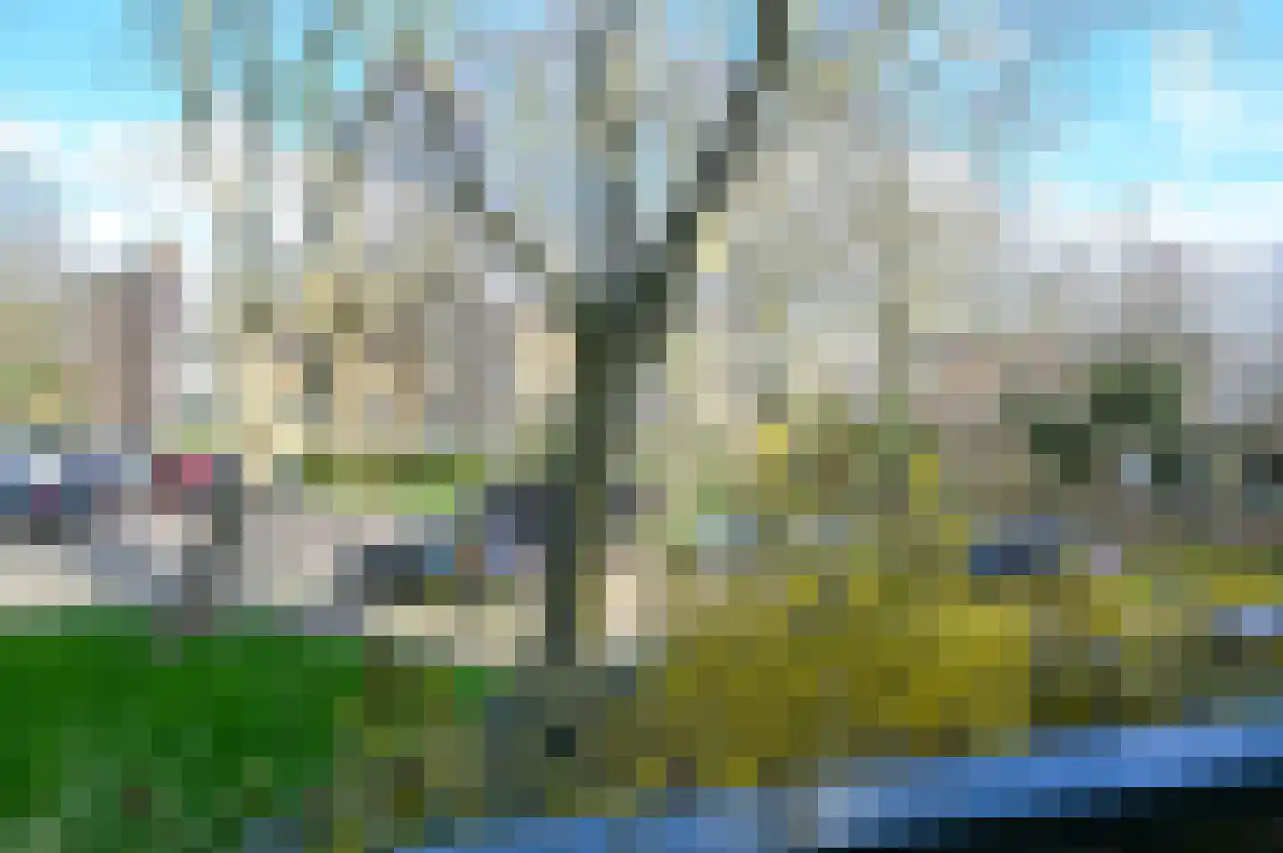 Delftlaan 307 I Haarlem thumbnail 8