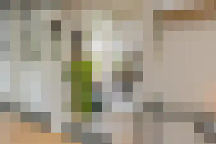 Delftlaan 307 II Haarlem thumbnail 22