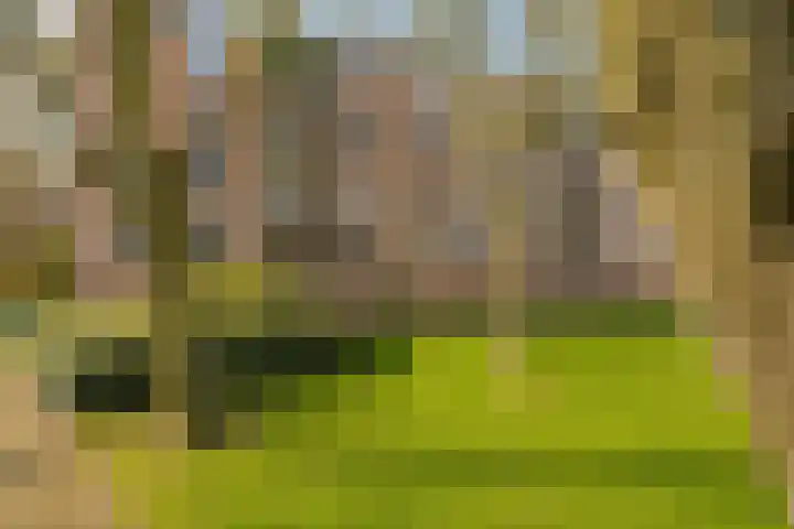 Delftlaan 307 II Haarlem thumbnail 41