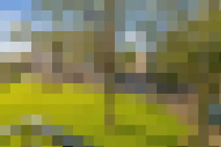 Delftlaan 307 II Haarlem thumbnail 5