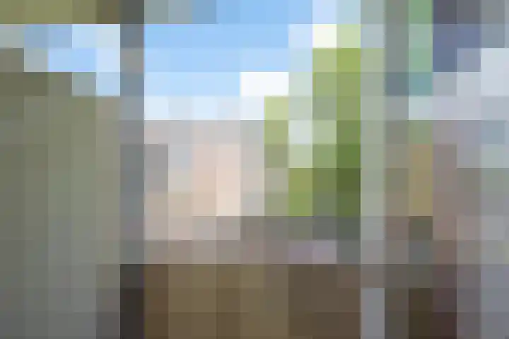 Delftlaan 309 III Haarlem thumbnail 10