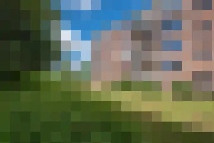 Delftlaan 309 III Haarlem thumbnail 26