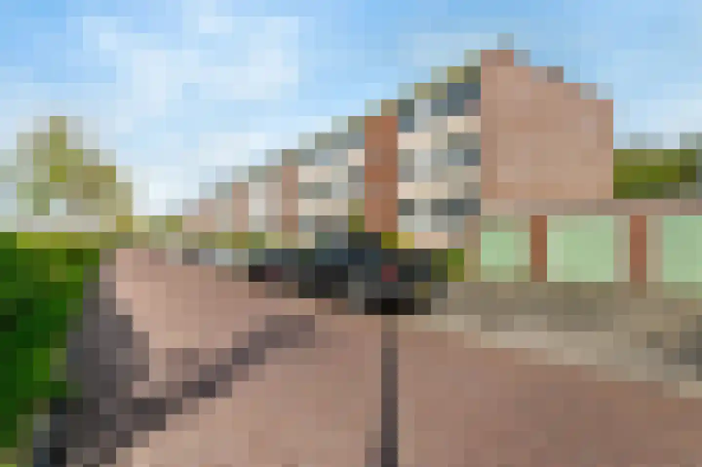 Delftlaan 339 II Haarlem thumbnail 22