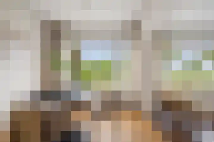 Delftlaan 341 Haarlem thumbnail 11