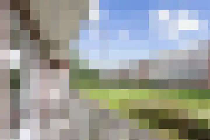 Delftlaan 341 Haarlem thumbnail 25