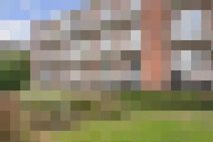 Delftlaan 341 Haarlem thumbnail 28