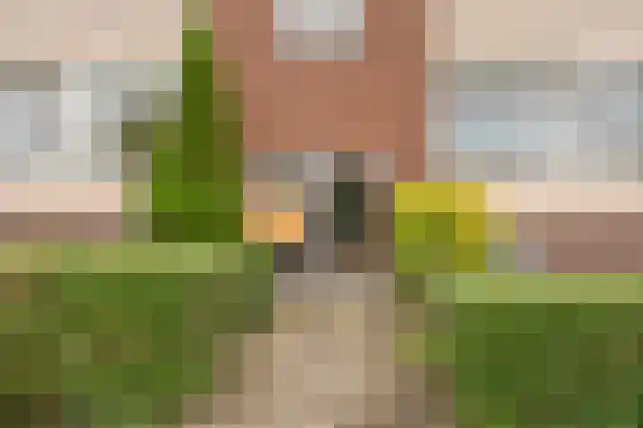 Delftlaan 341 Haarlem thumbnail 5
