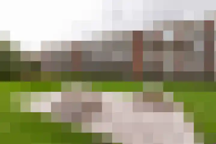 Delftlaan 345 I Haarlem thumbnail 17