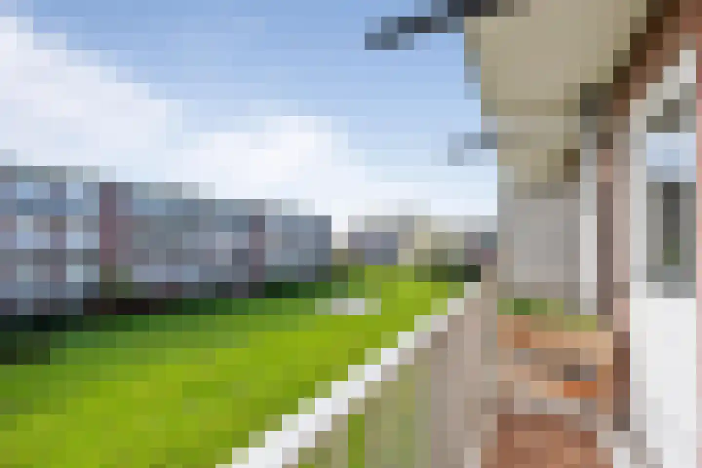 Delftlaan 353 I Haarlem thumbnail 25