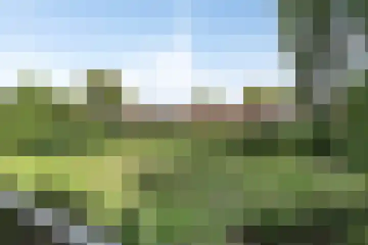 Delftlaan 355 Haarlem thumbnail 27