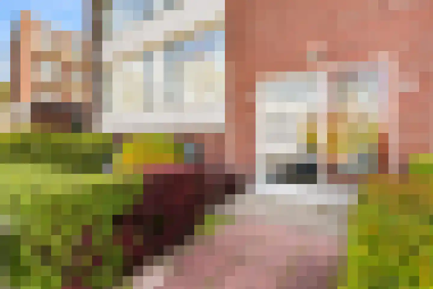 Delftlaan 369 I Haarlem thumbnail 6