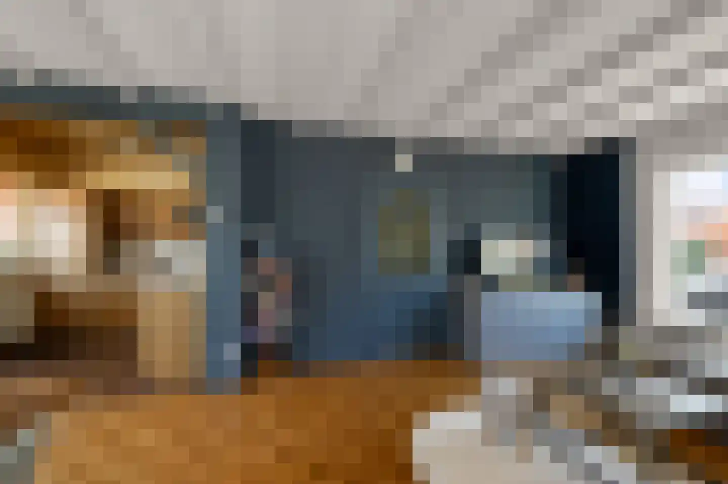 Delftlaan 42 Assendelft thumbnail 8