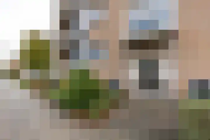 Delftlaan 439 III Haarlem thumbnail 27