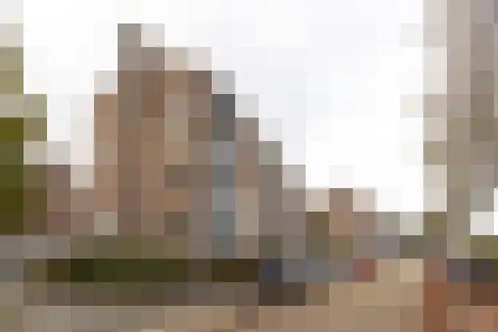 Delftlaan 439 III Haarlem thumbnail 28