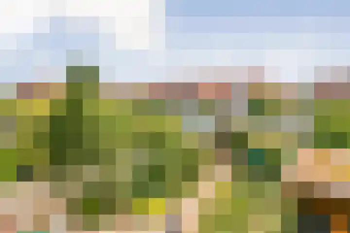 Delftlaan 49 Haarlem thumbnail 27