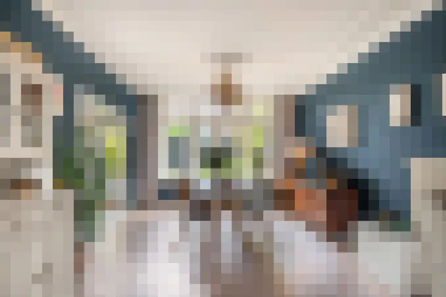 Delftlaan 9 Haarlem thumbnail 13