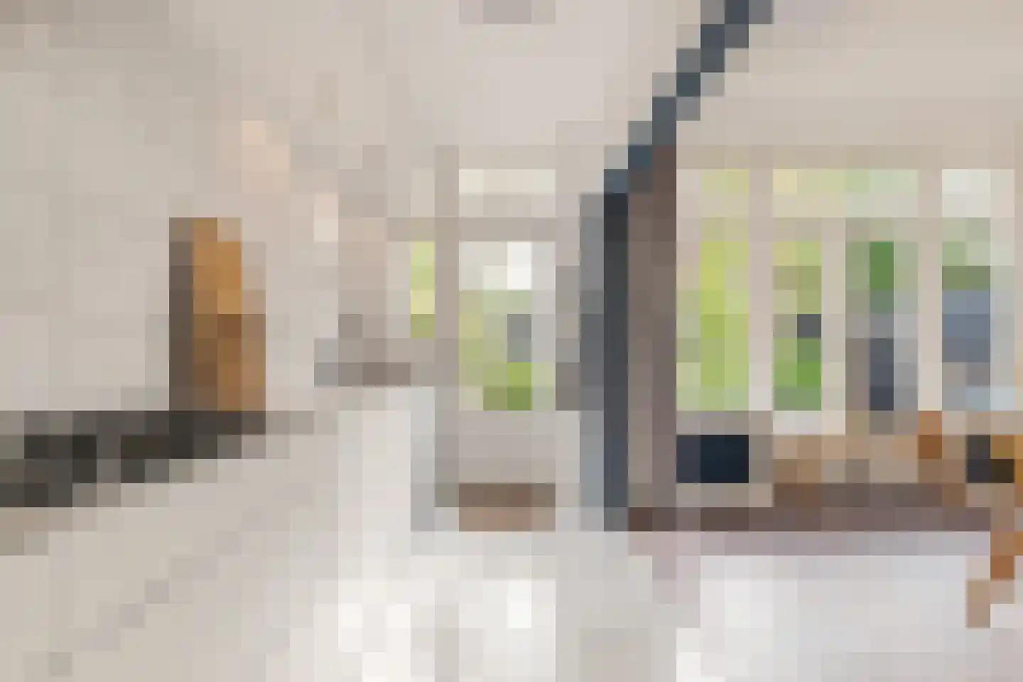 Delftlaan 9 Haarlem thumbnail 20
