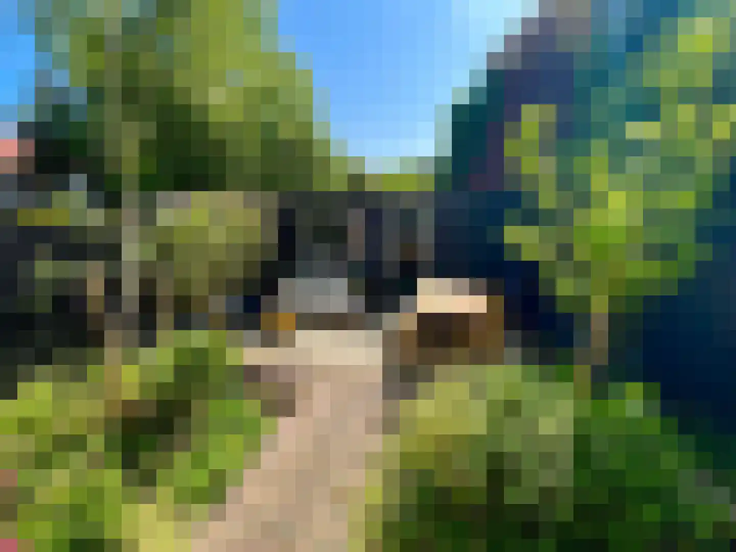 Delftlaan 9 Haarlem thumbnail 23