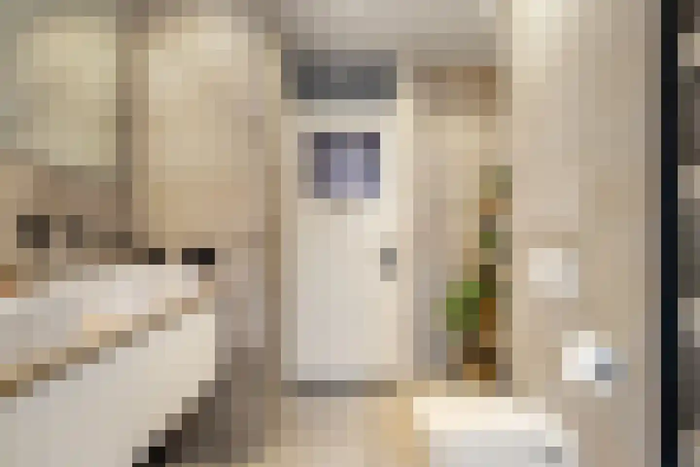 Delftlaan 9 Haarlem thumbnail 38