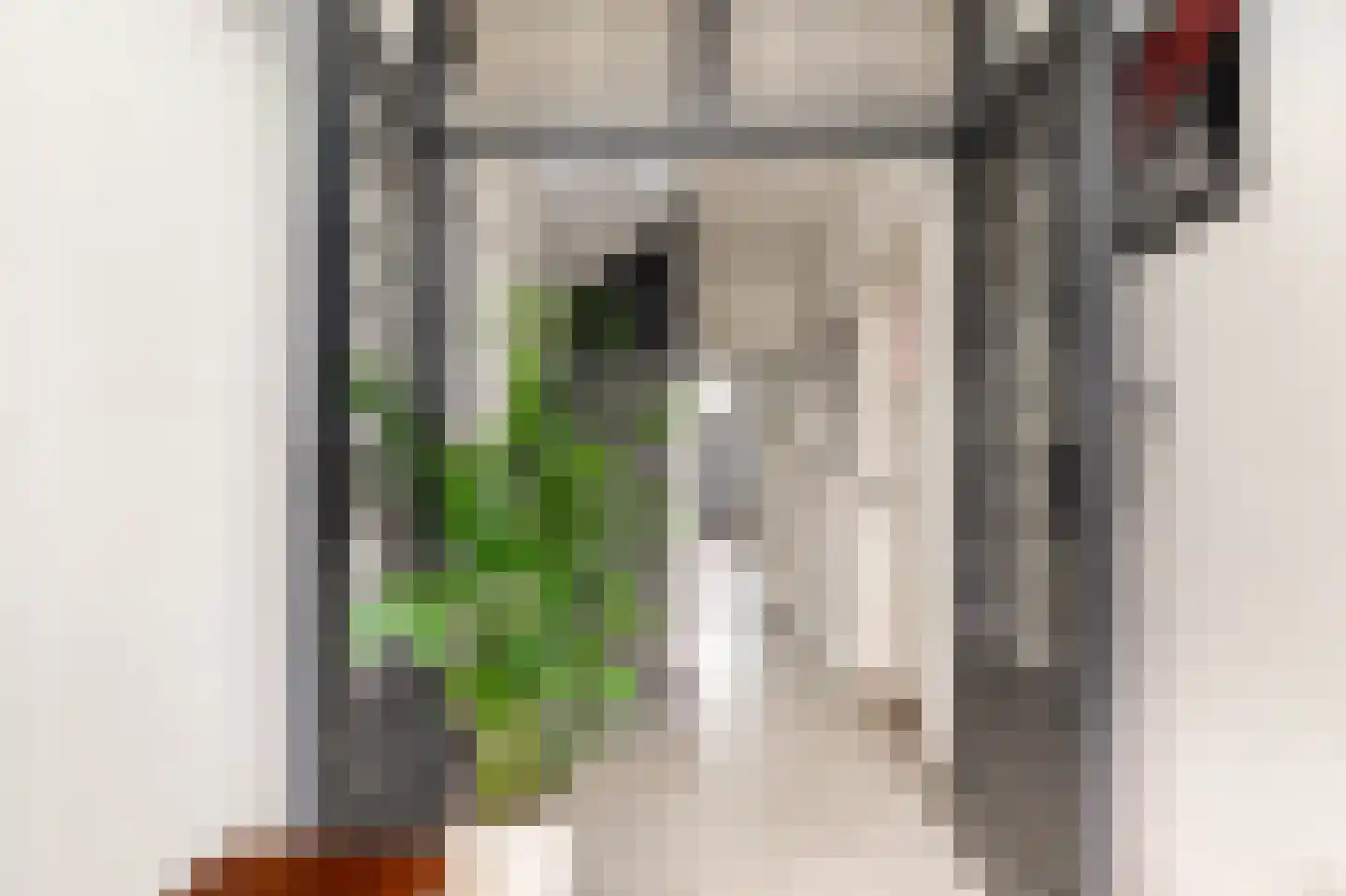 Delftlaan 9 Haarlem thumbnail 5