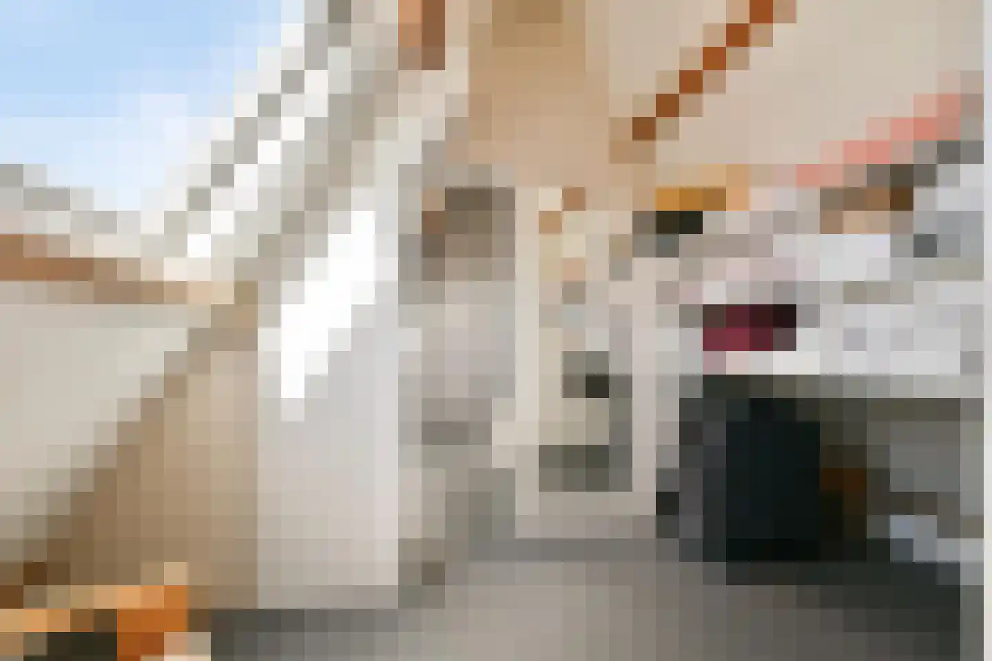 Delftlaan 93 Haarlem thumbnail 33