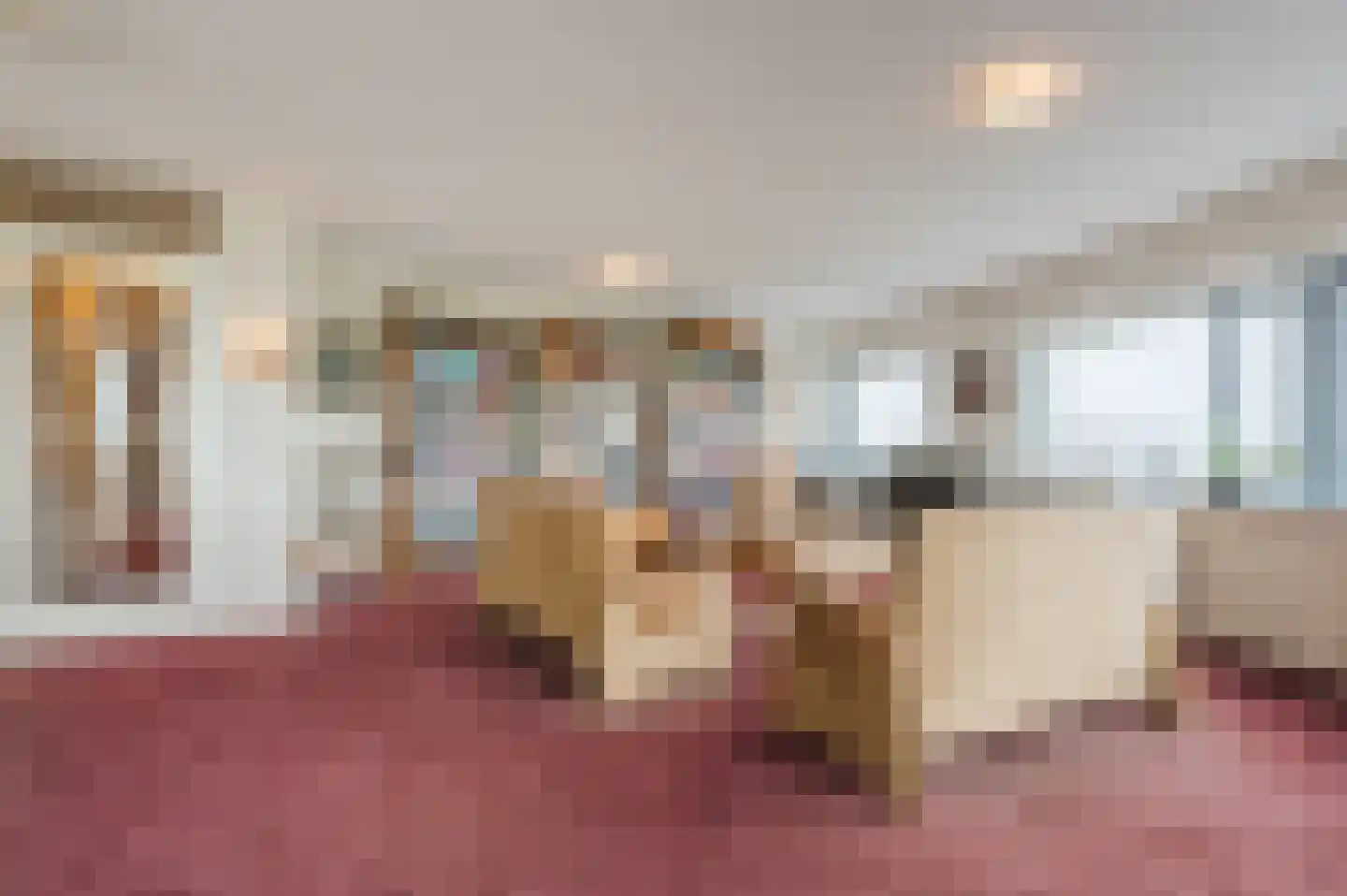 Delftse Jaagpad 28 Leiden thumbnail 10