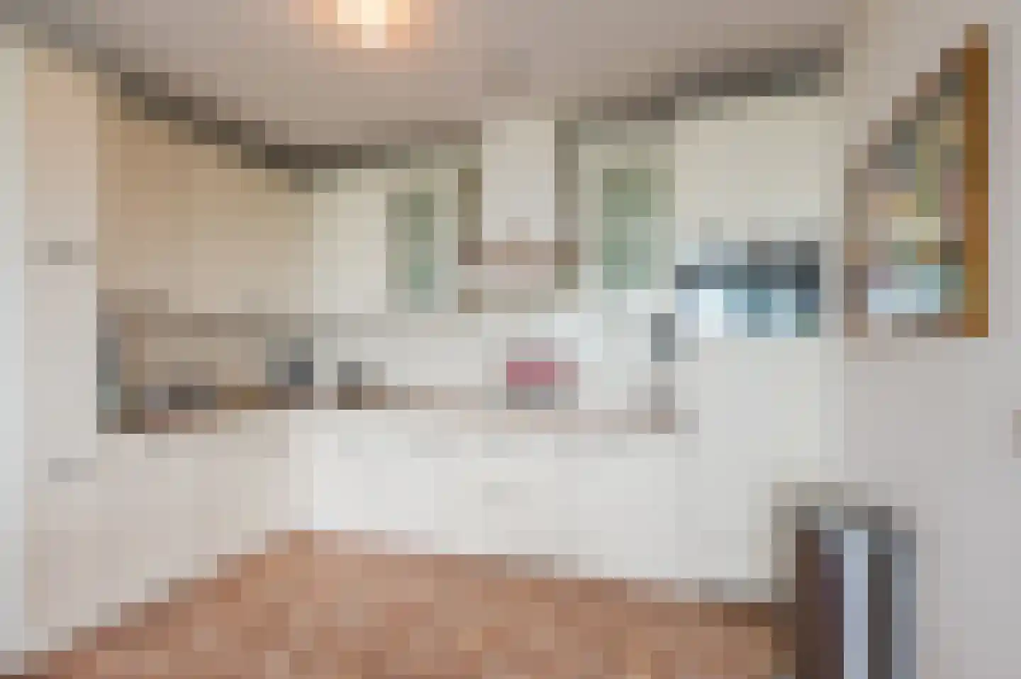Delftse Jaagpad 28 Leiden thumbnail 16