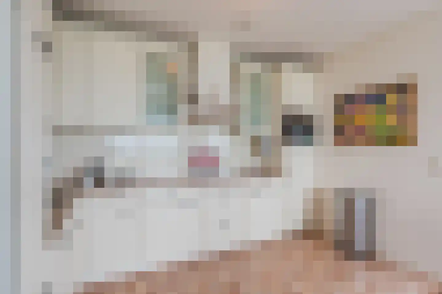 Delftse Jaagpad 28 Leiden thumbnail 17
