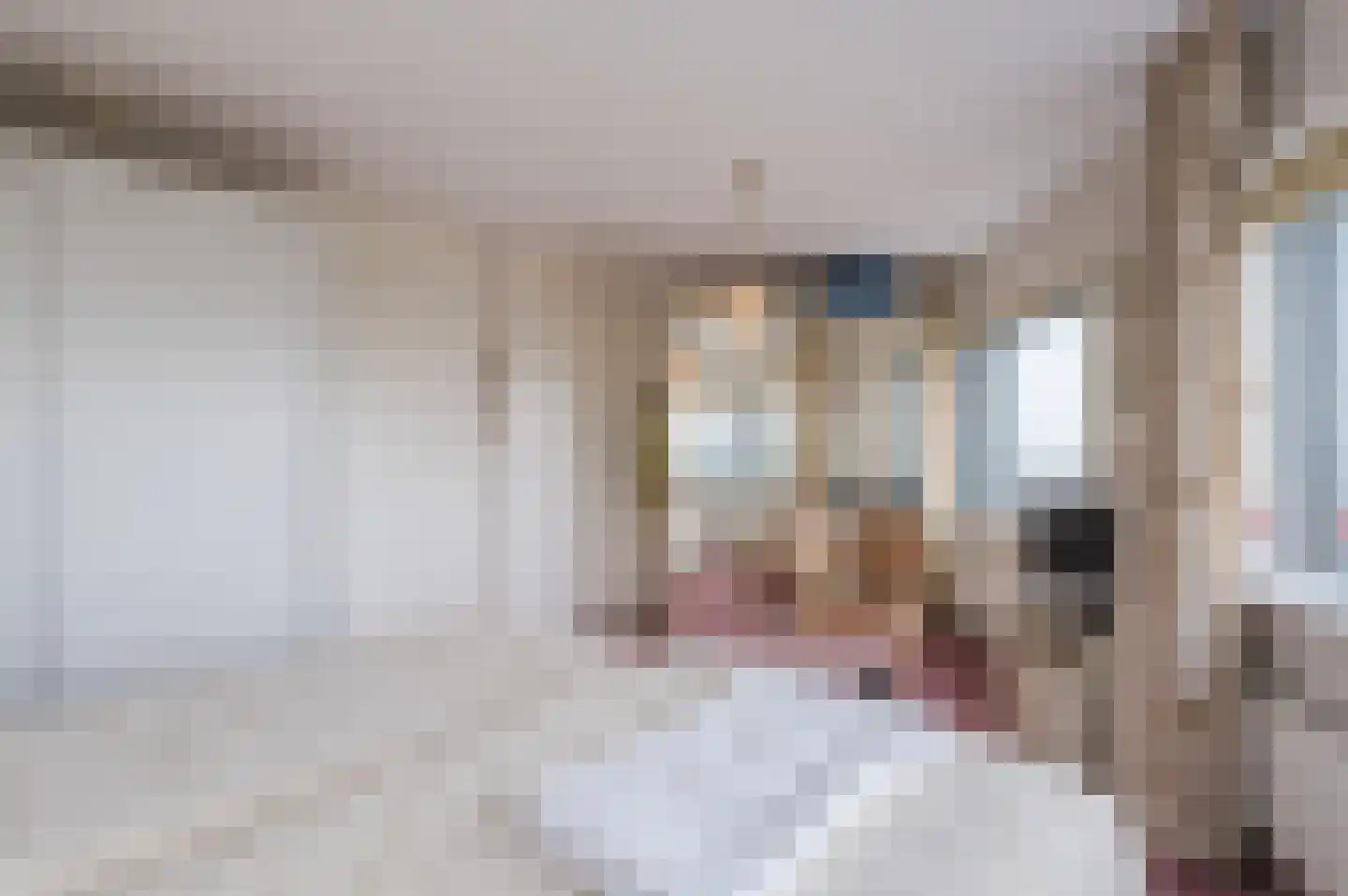 Delftse Jaagpad 28 Leiden thumbnail 20