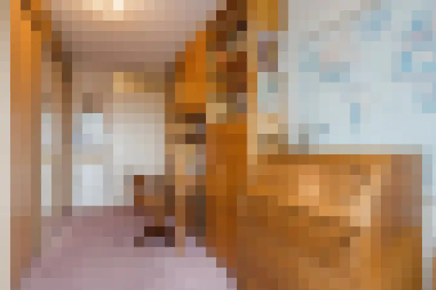 Delftse Jaagpad 28 Leiden thumbnail 22