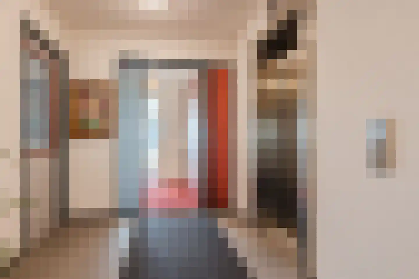 Delftse Jaagpad 28 Leiden thumbnail 6