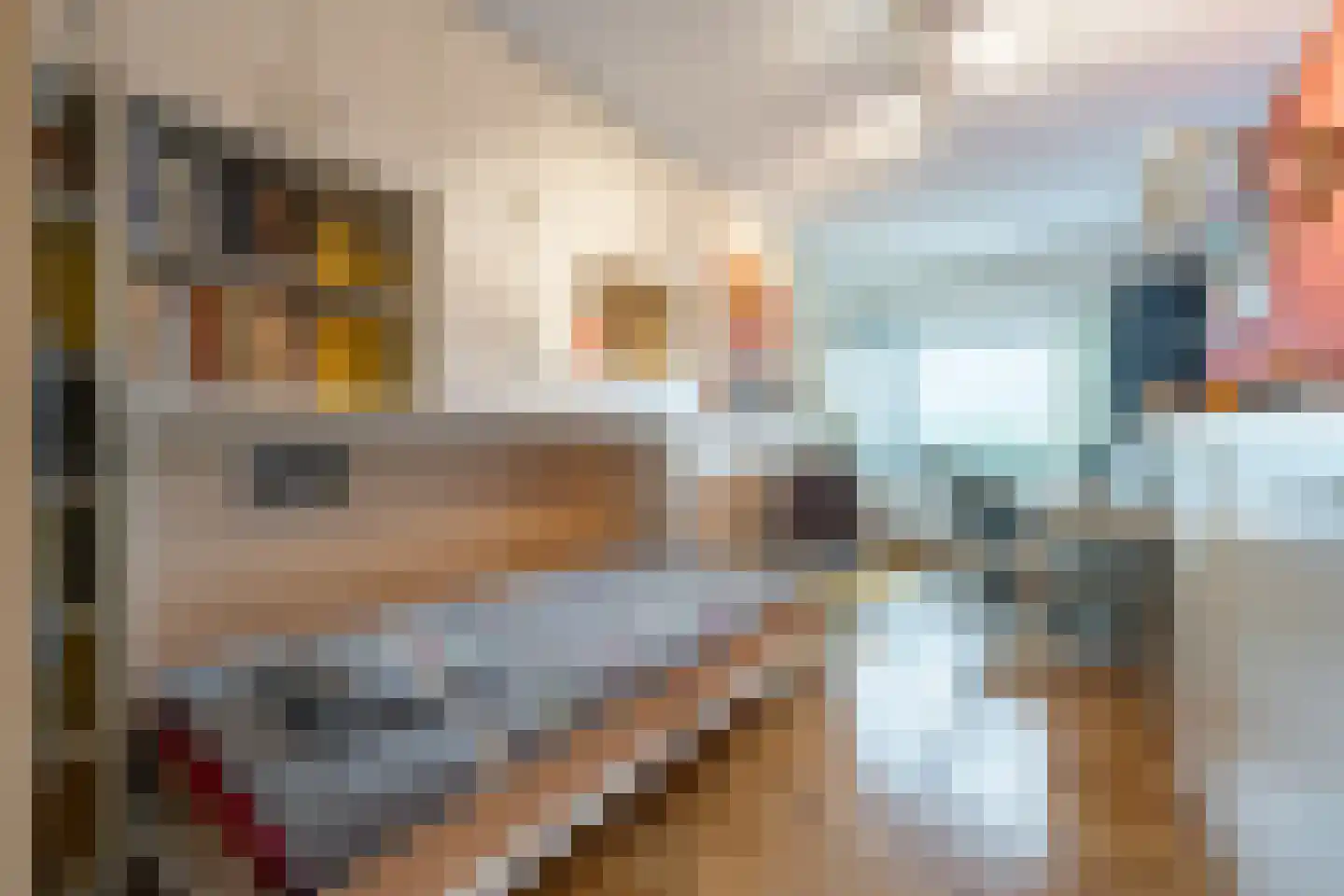 Delftse Jaagpad 29 Leiden thumbnail 24