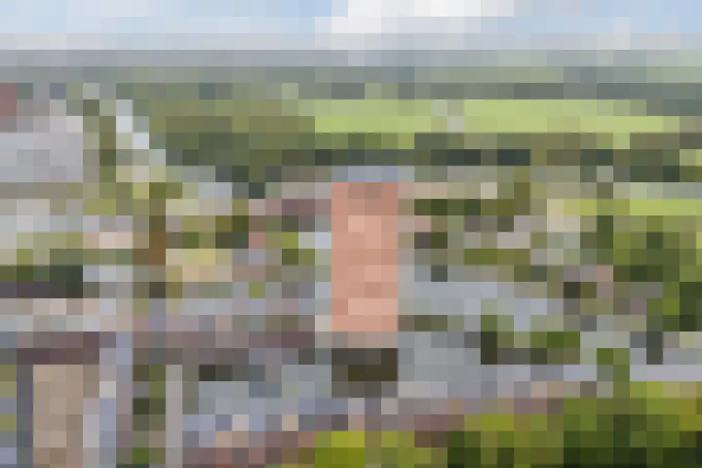 Delftse Jaagpad 29 Leiden thumbnail 32
