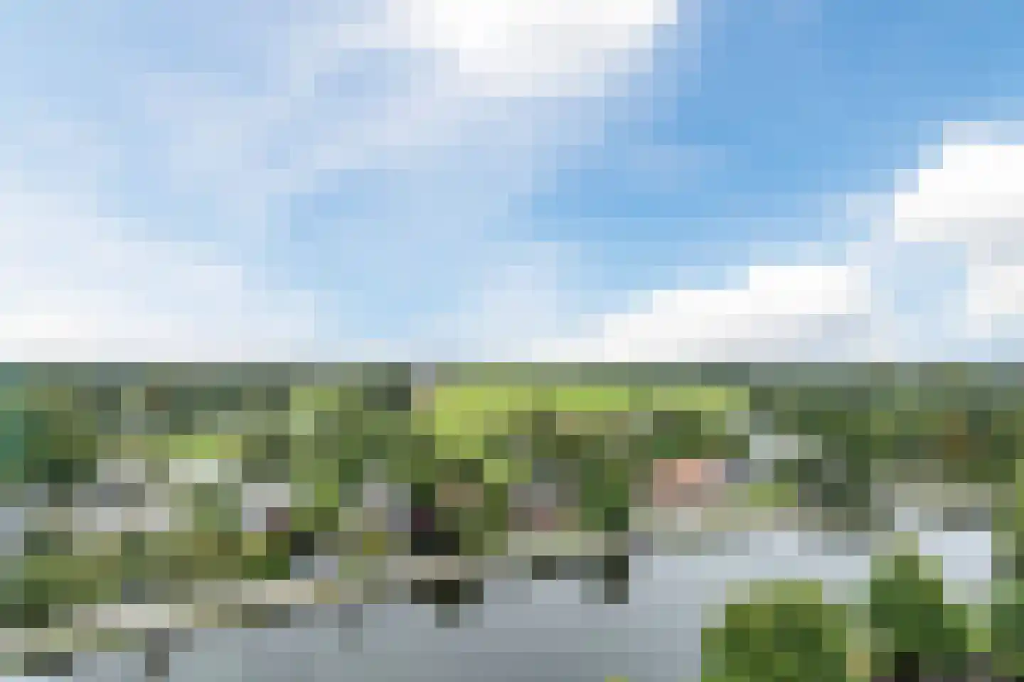 Delftse Jaagpad 29 Leiden thumbnail 34
