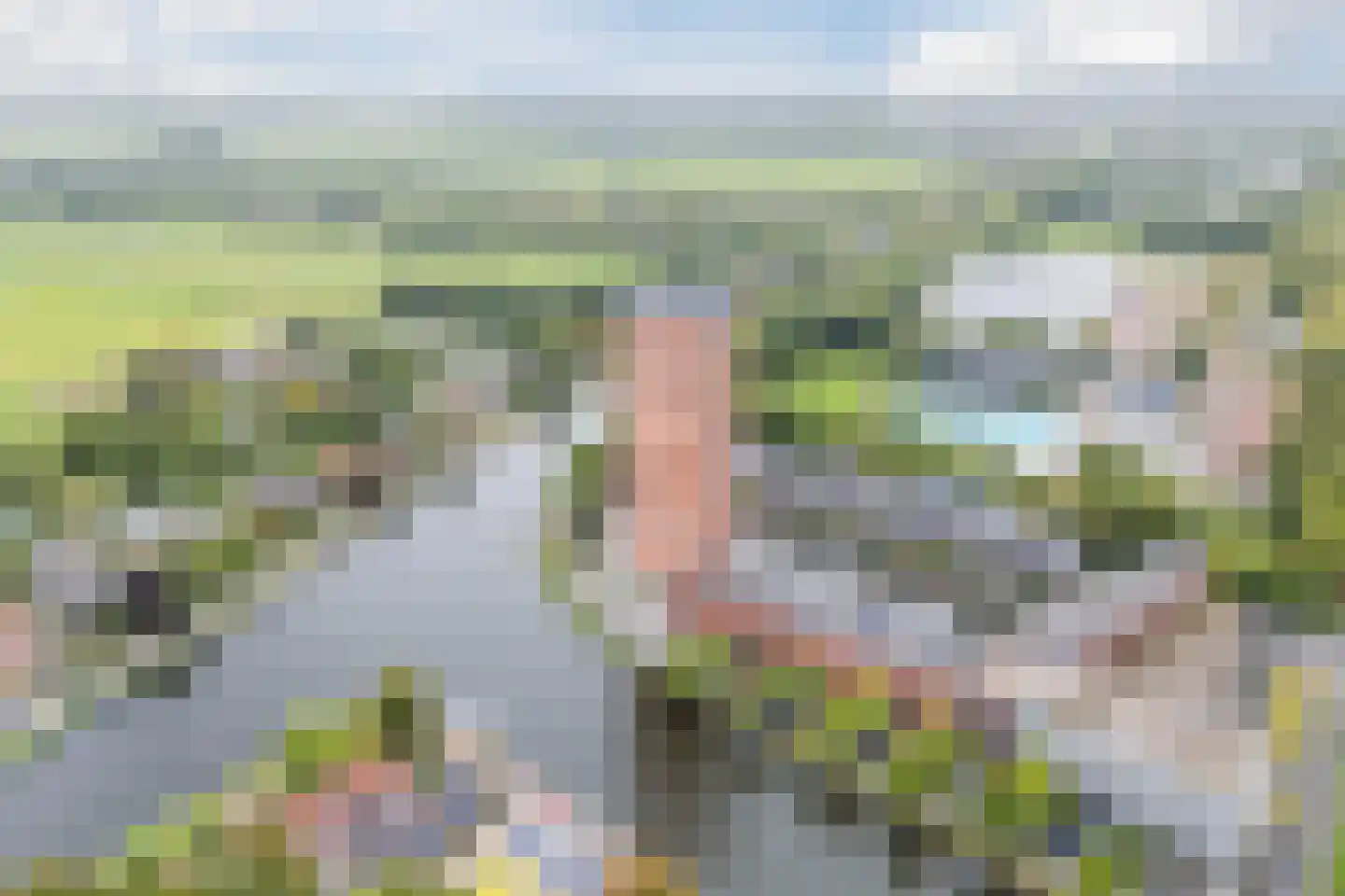 Delftse Jaagpad 29 Leiden thumbnail 4