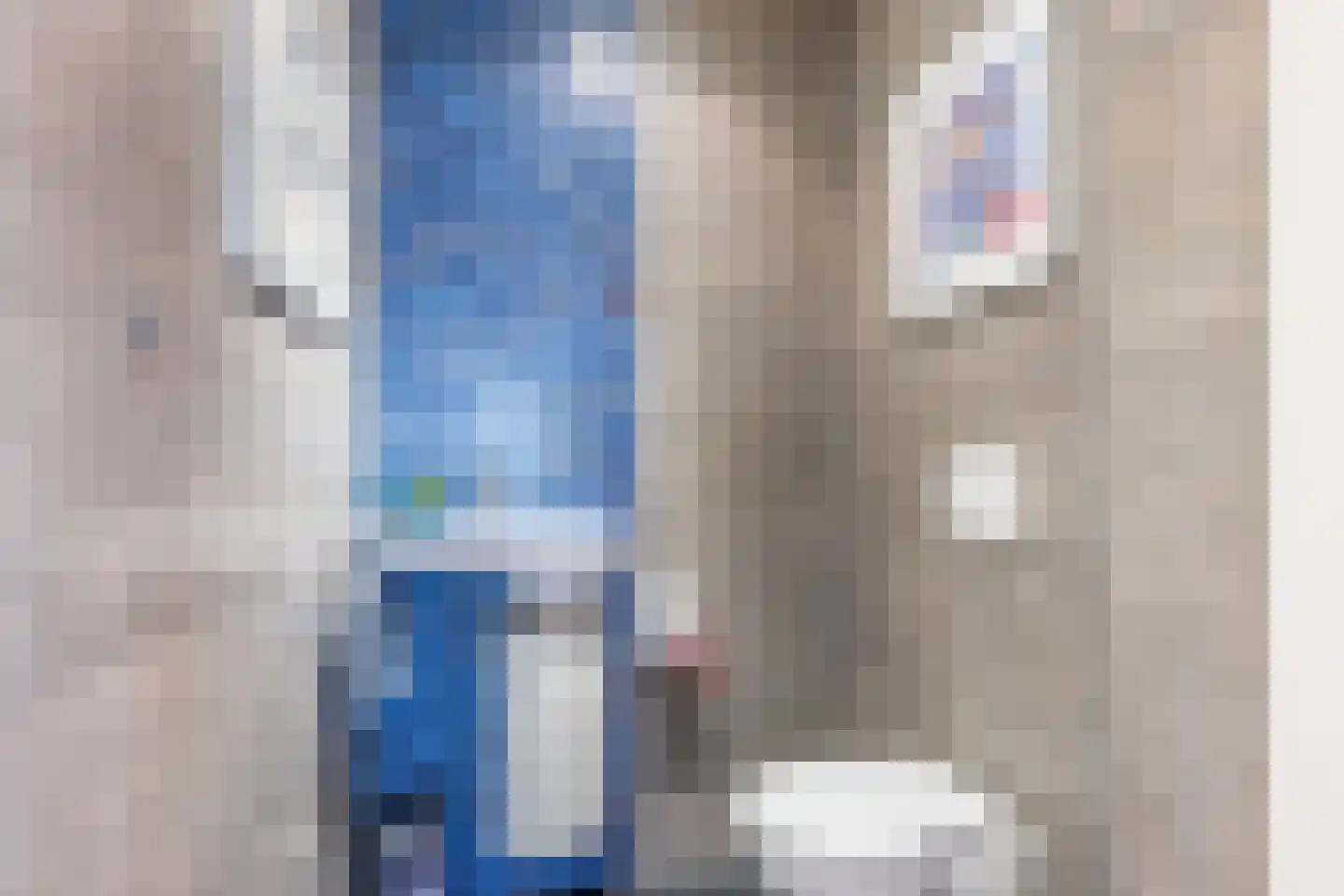 Delftse Jaagpad 29 Leiden thumbnail 9