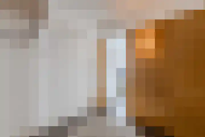 Delftse Jaagpad 38 Leiden thumbnail 14