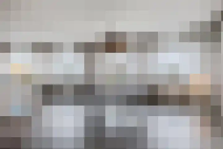 Delftse Jaagpad 38 Leiden thumbnail 17
