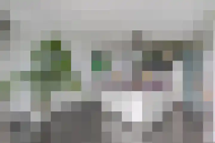 Delftse Jaagpad 38 Leiden thumbnail 19