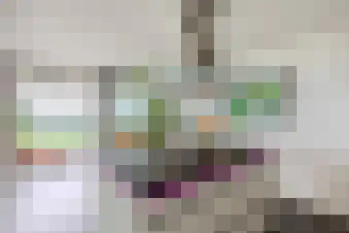 Delftse Jaagpad 38 Leiden thumbnail 20