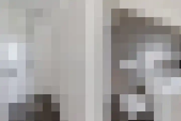 Delftse Jaagpad 38 Leiden thumbnail 22