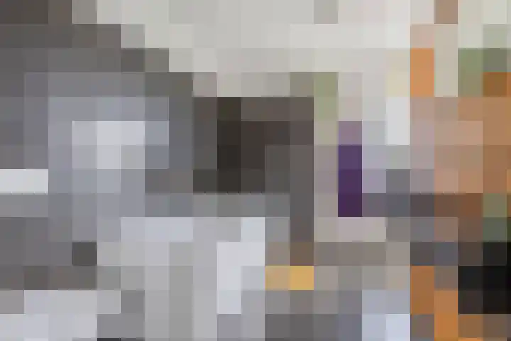 Delftse Jaagpad 38 Leiden thumbnail 23