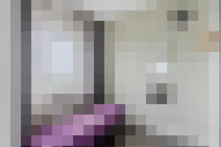 Delftse Jaagpad 38 Leiden thumbnail 24
