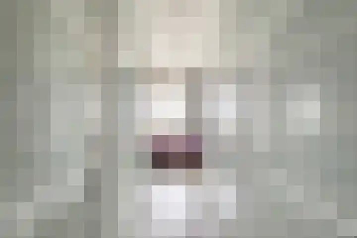 Delftse Jaagpad 38 Leiden thumbnail 25