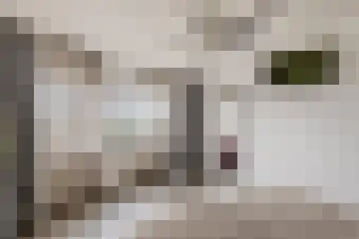 Delftse Jaagpad 38 Leiden thumbnail 26